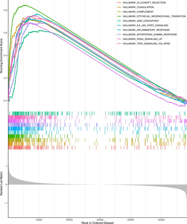 【佳学基因检测】非小细胞肺癌转移风险基因检测模型的建立与验证